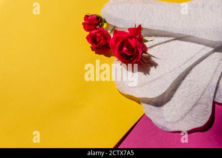 Frau hygienischen Schutz der Sanitäranlage auf hellem Hintergrund, Frau Menstruationszyklus, kritische Tag.Täglich, einmal weiße feminine Pad. Gesundheit der Frau Stockfoto