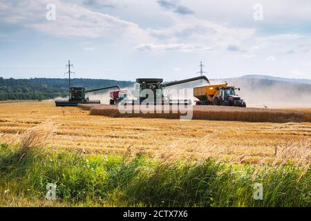 Ernte Weizen im Herbst Feld. Ein moderner Traktor steht direkt neben dem Mähdrescher und transportiert Weizenkorn Stockfoto