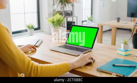 Über die Schulter: Kreative junge Frau sitzt an ihrem Schreibtisch mit Laptop mit Mock-up Green Screen. Büro wo Diverse Team von Young Professionals Stockfoto