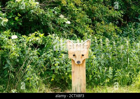 Holzfuchsskulptur neben dem Naturpfad, um den Menschen die Tierwelt in der Gegend zu zeigen, Haysden Country Park, in der Nähe von Tonbridge, Kent, England Stockfoto