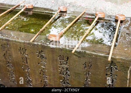 Kamakura, Japan. Der Temizu-ya oder Chouzu-ya, ein Shinto Wasserwaschung Pavillon am Eingang des Kotoku-in Tempel Stockfoto
