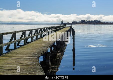 Der historische alte hölzerne Kai in Tokaanu, Neuseeland, der sich weit hinaus in die Gewässer des Lake Taupo erstreckt Stockfoto