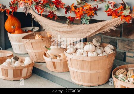 Rote, weiße Kürbisse in Körben von Laden auf dem Bauernhof. Herbsternte. Bewahren Sie die Dekoration im Freien auf. Thanksgiving und Halloween-Urlaub Vorbereitungen. Farbe Stockfoto