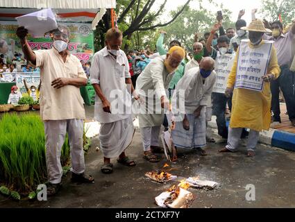 Kalkutta, Indien. September 2020. West Bengal Kishan Majdoor Trinamool Kongresskomitee Aktivisten brennen Modell des Gesetzentwurfs während des Protests gegen neue Farm Bill in der Nähe Gandhi Statue. (Foto von Ved Prakash/Pacific Press) Quelle: Pacific Press Media Production Corp./Alamy Live News Stockfoto