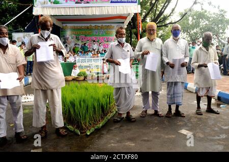 Kalkutta, Indien. September 2020. West Bengal Kishan Majdoor Trinamool Congress Committee Ctivisten brennen Modell der Rechnung während des Protests gegen neue Farm Bill in der Nähe Gandhi Statue. (Foto von Ved Prakash/Pacific Press) Quelle: Pacific Press Media Production Corp./Alamy Live News Stockfoto