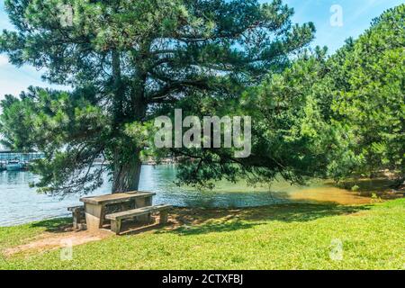 Ein Picknicktisch unter der großen Kiefer für Schatten Entlang der Küste am See mit den Booten vertäut An der Marina im Hintergrund bei einer Sonne Stockfoto