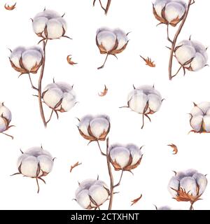 Baumwolle Blume Öko Knospen Zweige nahtlose Textur. Aquarell handgezeichnete Hintergrund von Baumwollkugeln. Vintage botanische Illustration auf weißem Hintergrund Stockfoto