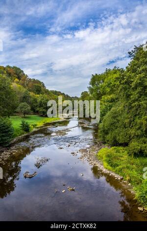 Blick Richtung Norden entlang des Flusses Creuse, bei Fresselines, Creuse (23), Frankreich. Stockfoto