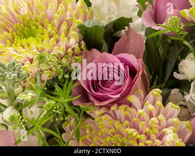 Nahaufnahme einer hellrosa Rose und Chrysanthemen in einem Blumenstrauß. Stockfoto