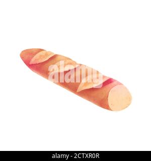 Französisches Baguette-Brot, isolierte realistische Illustration, farbige Buntstiftkunst, handgezeichnete Ikone für Bäckerei Stockfoto
