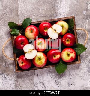 Reife rote Äpfel in Holzkiste. Draufsicht mit Kopierbereich. Stockfoto