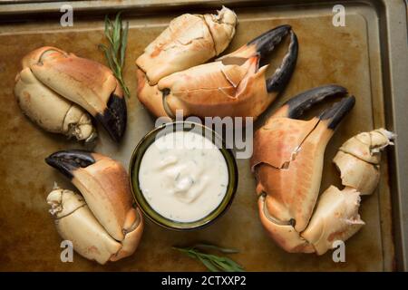 Gekochte Krabbenkrallen aus einer braunen Krabbe, Krebs Pagurus, die mit einem Knoblauch, Estragon und Zitrone Mayonnaise serviert wurden. Dorset England GB Stockfoto