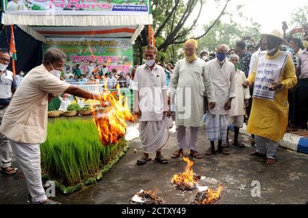 Kalkutta, Indien. September 2020. West Bengal Kishan Majdoor Trinamool Kongresskomitee Aktivisten brennen Modell des Gesetzentwurfs während des Protests gegen neue Farm Bill in der Nähe Gandhi Statue. (Foto: Ved Prakash/Pacific Press/Sipa USA) Quelle: SIPA USA/Alamy Live News Stockfoto