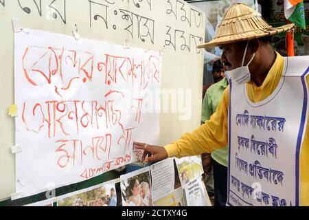 Kalkutta, Indien. September 2020. TMC MLA aus Singur Becharam Manna schreibt Slogan mit Blut aus dem Finger während West Bengalen Kishan Majdoor Trinamool Kongressausschuss Protest gegen Farm Bill in der Nähe Gandhi Statue. (Foto: Ved Prakash/Pacific Press/Sipa USA) Quelle: SIPA USA/Alamy Live News Stockfoto