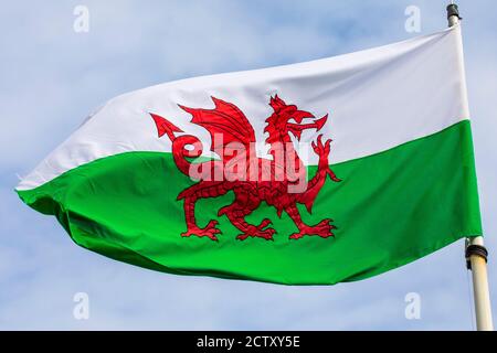 Nahaufnahme der Flagge von Wales. Stockfoto