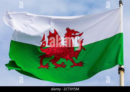 Nahaufnahme der Flagge von Wales. Stockfoto