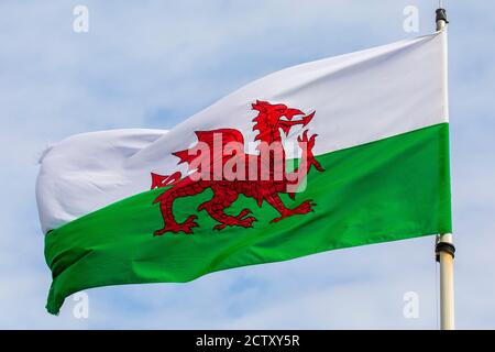 Nahaufnahme der Flagge von Wales. Stockfoto