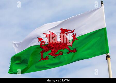 Nahaufnahme der Flagge von Wales. Stockfoto