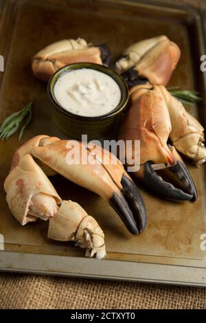Gekochte Krabbenkrallen aus einer braunen Krabbe, Krebs Pagurus, die mit einem Knoblauch, Estragon und Zitrone Mayonnaise serviert wurden. Dorset England GB Stockfoto