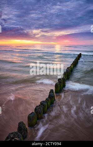 Alte hölzerne Wellenbrecher bei violettem Sonnenuntergang, Ostseeküste, Polen. Stockfoto