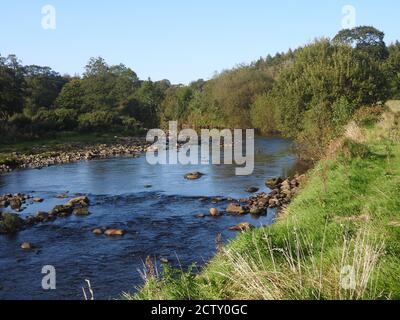 Der Fluss Wyre unterhalb der Wyreside Hall, Dolphinholme, Lancashire UK im Jahr 2020. Das ursprüngliche Haus wurde 1836 von John Fenton Cawthorn's Treuhändern an Robert Garnett (1780-1852) verkauft. Im Jahr 1843-44 wurde das Haus von Garnet nach Entwürfen von Edmund Sharpe (1809-77) umgebaut, einschließlich des Abrisses von Adams Westfront. Gleichzeitig wurde das Interieur komplett verändert und neu gestaltet. Andere Alteratyionen fanden statt und das Haus wurde 1936 verkauft und in Wohnungen aufgeteilt. 2012 wurde es in ein Hotel umgewandelt. Stockfoto