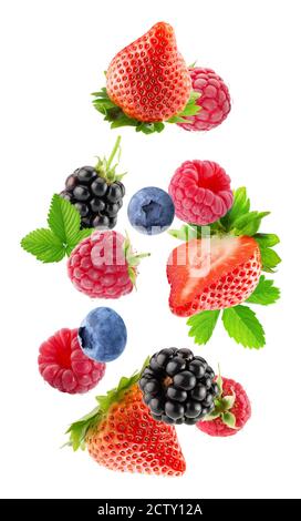 Fallende Beeren isoliert auf weißem Hintergrund. Stockfoto