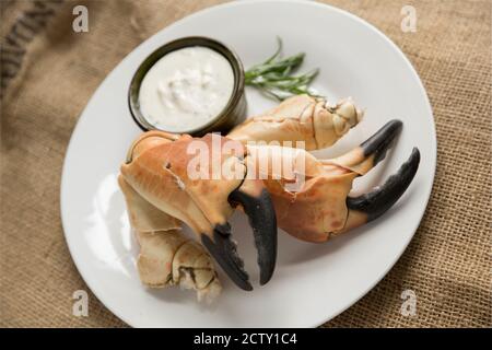 Zwei gekochte, rissige Krabbenkrallen aus einer braunen Krabbe, Cancer Pagurus, die mit Knoblauch, Estragon und Zitronenmayonnaise serviert wurden. Dorset England U Stockfoto