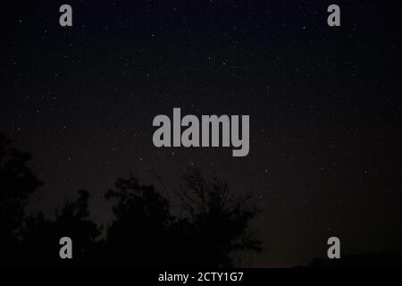 Sternenklare Nacht dunkler Himmel mit leuchtenden Sternen und schwarzen Bäumen Silhouetten. Echtes Astro-Foto in der Sommernacht. Stockfoto