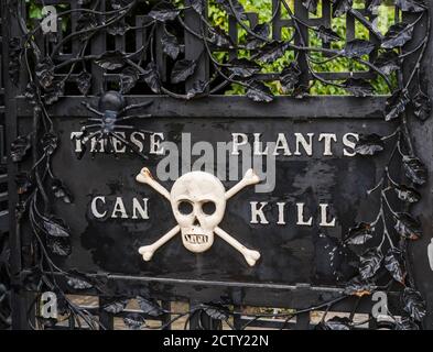 Kunstvolle Tore des Giftgartens in Alnwick Gardens, Northumberland, Großbritannien Stockfoto