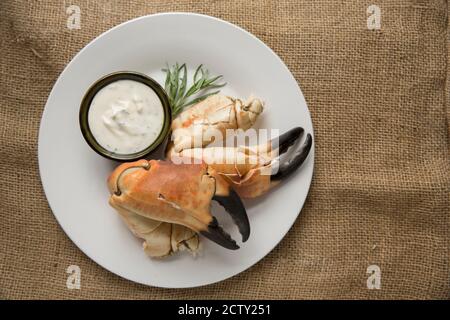 Zwei gekochte, rissige Krabbenkrallen aus einer braunen Krabbe, Cancer Pagurus, die mit Knoblauch, Estragon und Zitronenmayonnaise serviert wurden. Dorset England U Stockfoto