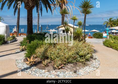 Descanso Beach Club, Santa Catalina Island. USA, berühmte Touristenattraktion in Südkalifornien, USA. Juni 2020 Stockfoto