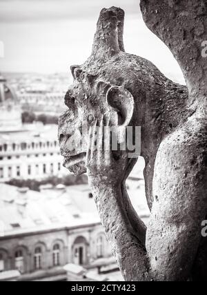 Kathedrale Notre Dame de Paris in schwarz und weiß, Paris, Frankreich. Melancholische Chimäre Statue wie gotische Gargoyle Nahaufnahme, Architektur Detail Dach Stockfoto