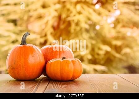 Frische Kürbisse auf einem alten Holztisch im Herbst. Speicherplatz kopieren. Stockfoto