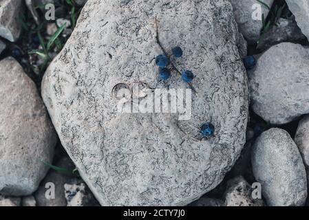 Eheringe liegen auf einem Stein neben einem Zweig Von blauen Beeren Stockfoto