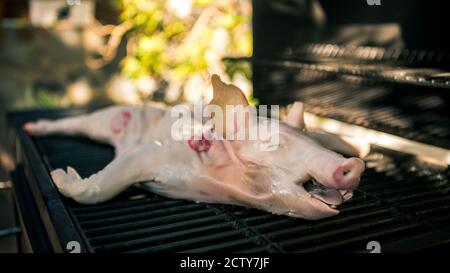 Rohe Ferkel, die auf dem Grill gegrillt werden. Nahaufnahme von köstlichen ganzen Schwein über auf BBQ Grill, Hausmannskost. Koch kocht leckeres Schweinefleisch im Hinterhof A Stockfoto