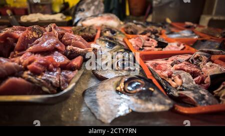 Kopf und Augen Thunfisch frisch aus der Nähe gefangen. Taiwan asiatischen Fischmarkt. Reste von großem Gelbflossenthun auf dem Schneidetisch nach der Seefischerei. Metzger Stockfoto