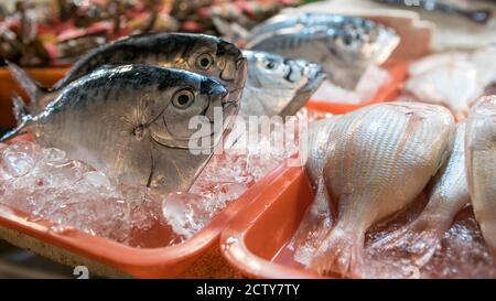 Ein Stallverkäufer, der lebenden Fisch und verschiedene Zutaten in einem beliebten Markt verkauft, wo viele traditionelle Lebensmittel gekauft werden können, in Taiwan. Einkaufen i Stockfoto