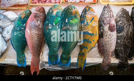 Bunte Papageienfische werden auf einem beliebten Marktplatz verkauft, wo viele traditionelle Lebensmittel gekauft werden können, in Taiwan. Einkaufen gekühlter Parrotfisch auf dem Display Stockfoto