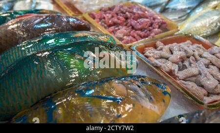 Bunte Papageienfische werden auf einem beliebten Marktplatz verkauft, wo viele traditionelle Lebensmittel gekauft werden können, in Taiwan. Einkaufen gekühlter Parrotfisch auf dem Display Stockfoto