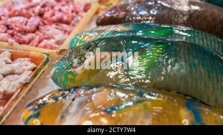 Bunte Papageienfische werden auf einem beliebten Marktplatz verkauft, wo viele traditionelle Lebensmittel gekauft werden können, in Taiwan. Einkaufen gekühlter Parrotfisch auf dem Display Stockfoto