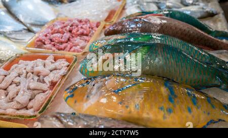 Bunte Papageienfische werden auf einem beliebten Marktplatz verkauft, wo viele traditionelle Lebensmittel gekauft werden können, in Taiwan. Einkaufen gekühlter Parrotfisch auf dem Display Stockfoto