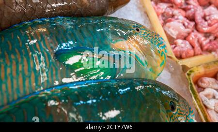 Bunte Papageienfische werden auf einem beliebten Marktplatz verkauft, wo viele traditionelle Lebensmittel gekauft werden können, in Taiwan. Einkaufen gekühlter Parrotfisch auf dem Display Stockfoto