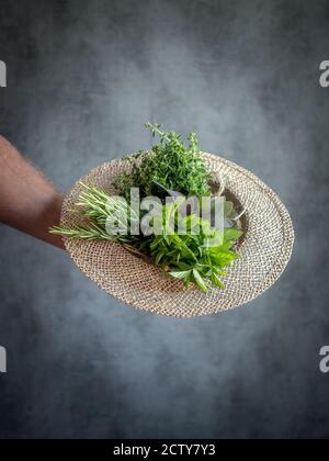 Männliche Hand hält Strohhut mit Bündel von Kräutern. Thymian, Salbei, Rosmarin, Oregano. Speicherplatz kopieren. Stockfoto