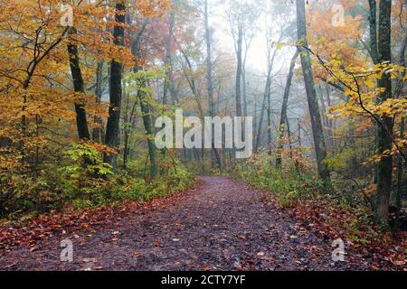 Wunderschöne Wisconsin Eis Natur Hintergrund. Landschaftlich reizvolle Herbstlandschaft im Nebelwald. East Bluff Wanderweg am Devils Lake State Park, Baraboo WI USA Stockfoto