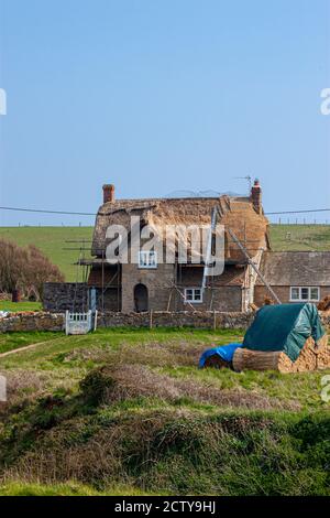 Ein traditionelles altes britisches Cottage House auf dem Land. Es ist aus Stein und befindet sich hinter Steinmauern. Das Strohdach wird durch ersetzt Stockfoto