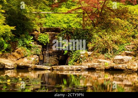 Ein Landschaftsbild mit einem Seerosenteich mit Blumen, dekorativen moosigen Steinen, einem kleinen Wasserfall und bunten Pflanzen. Es ist eine malerische Aussicht Stockfoto