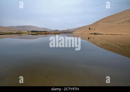 Megadune reflektiert auf See Badain Ost. Badain Jaran Wüste-Innere Mongolei-China-1042 Stockfoto