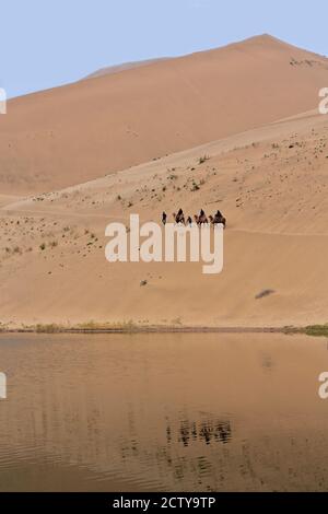 Tourist Kamel Wohnwagen Reflexion-See Badain Ost. Badain Jaran Wüste-Innere Mongolei-China-1044 Stockfoto