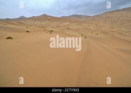 Bewegte und stationäre Sanddünen-Badain Jaran Wüste. Alxa Plateau-Innere Mongolei-China-1056 Stockfoto