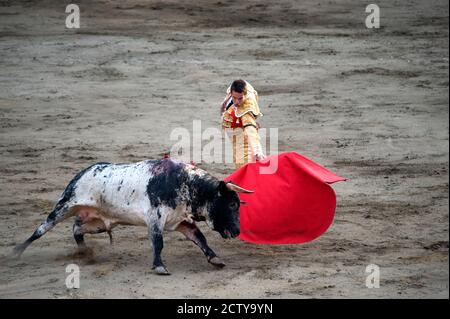 Matador und Stier in einer Stierkampfarena, Lima, Peru Stockfoto